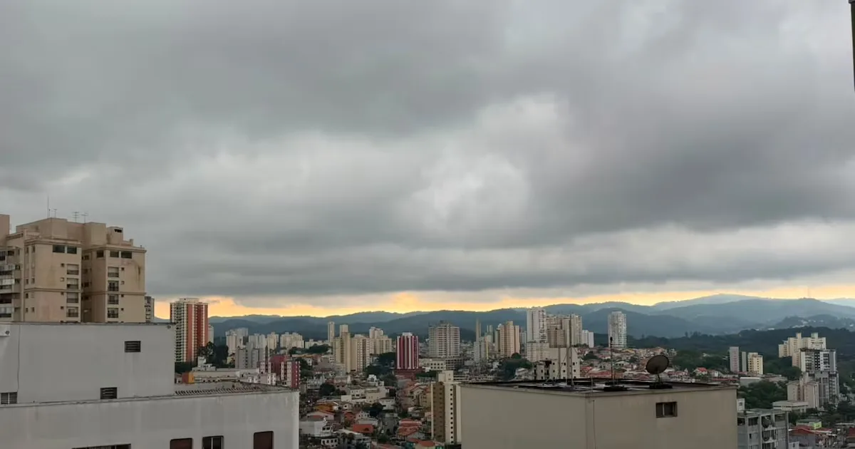 Temporal atinge áreas de São Paulo e provoca chamados por queda de árvores