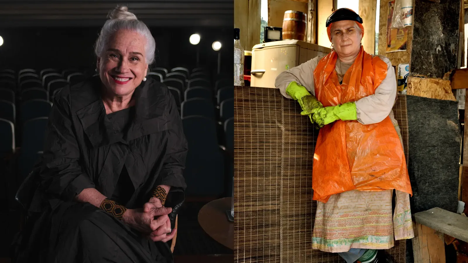 Vera Holtz não estará em “Avenida Brasil 2” por compromisso com o teatro