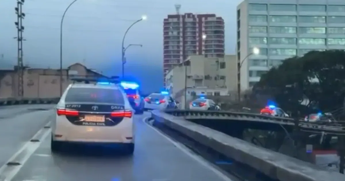 Polícia cumpre mandados contra suspeitos de roubos de veículos no Rio
