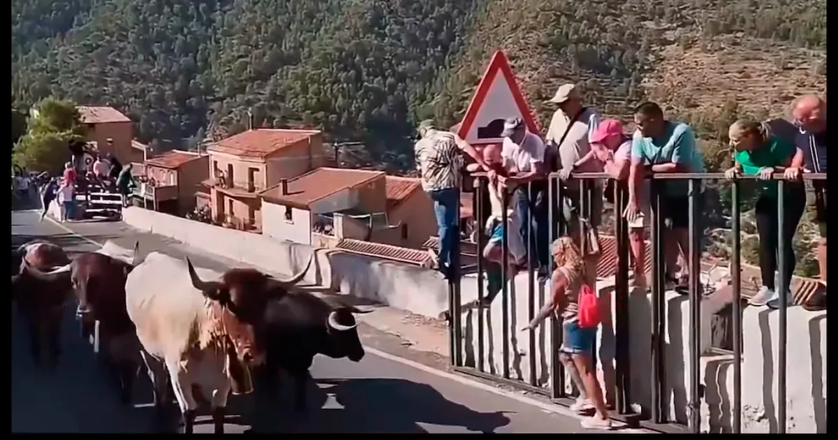 Turista de 64 anos morre após ser atingida por touro na Espanha