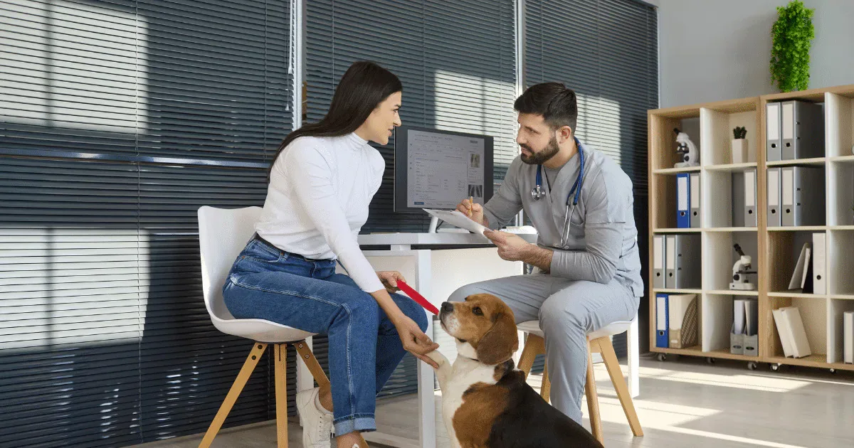 Troca de ração para pets idosos exige avaliação individual