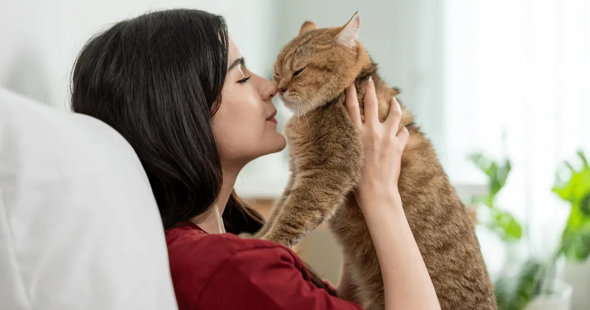 Rotina e confiança ajudam a definir os laços de cães e gatos