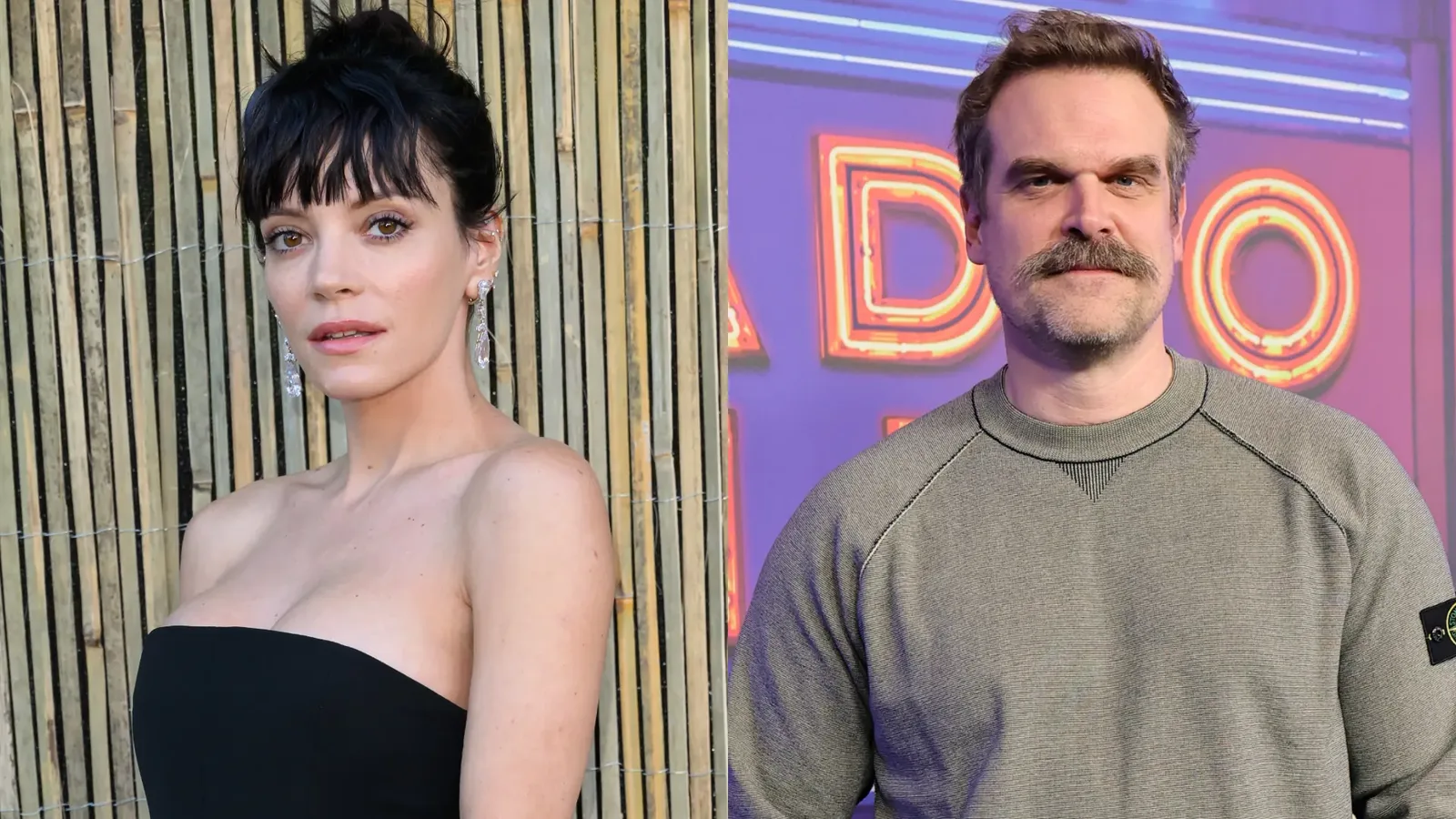 Lily Allen elogia David Harbour ao comentar álbum sobre o divórcio