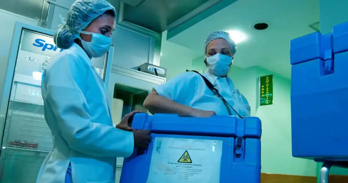 Idade não impede doação de órgãos em vida, mas exige avaliação médica detalhada