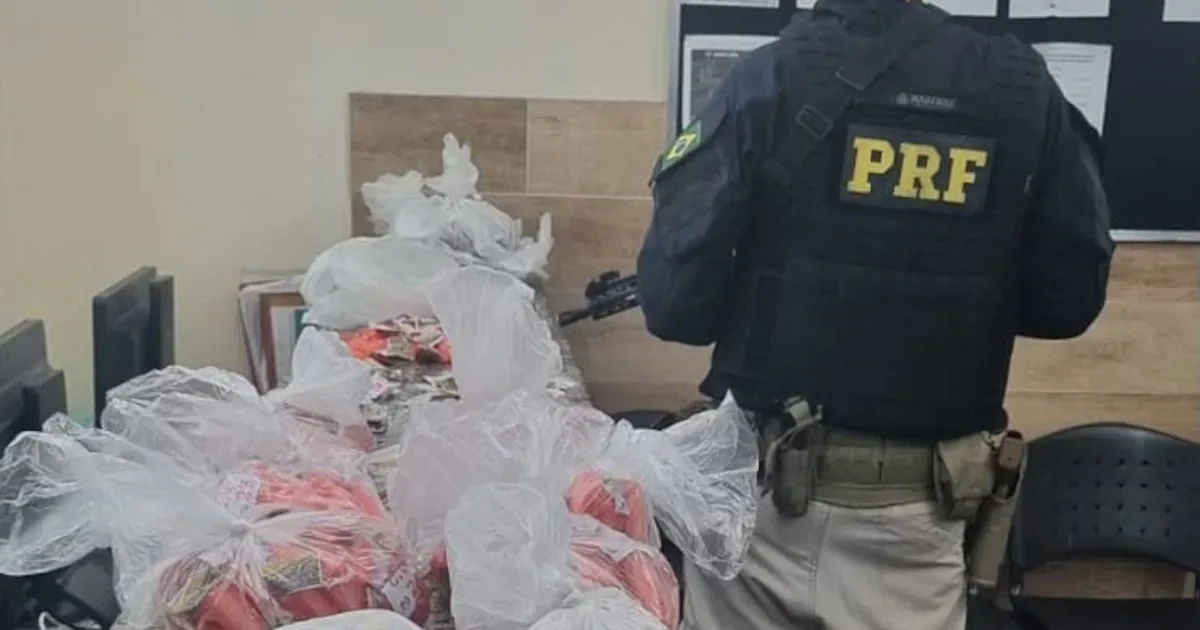 Homem é detido com crack e cocaína durante fiscalização na Dutra