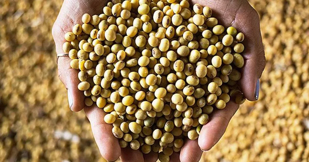 Clima, crédito e custos estreitam espaço para o produtor rural