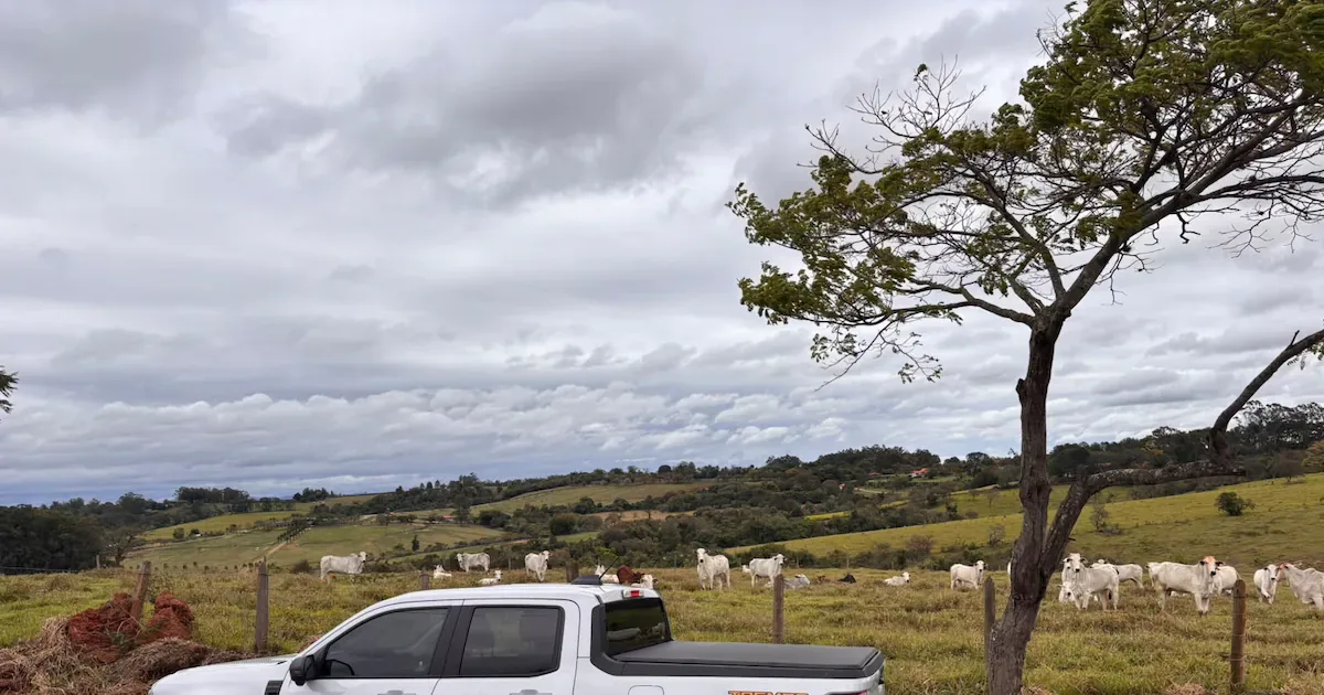 Ford Maverick Tremor combina uso urbano, campo e lazer