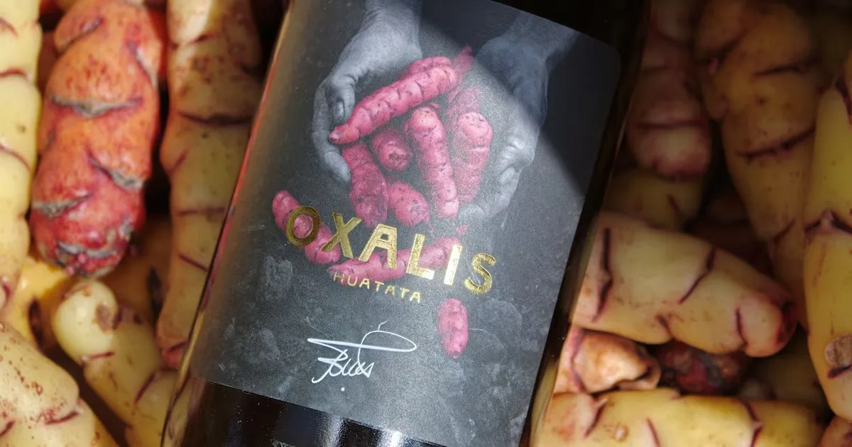 Bebida de oca leva tradição andina a saquês e vinhos finos