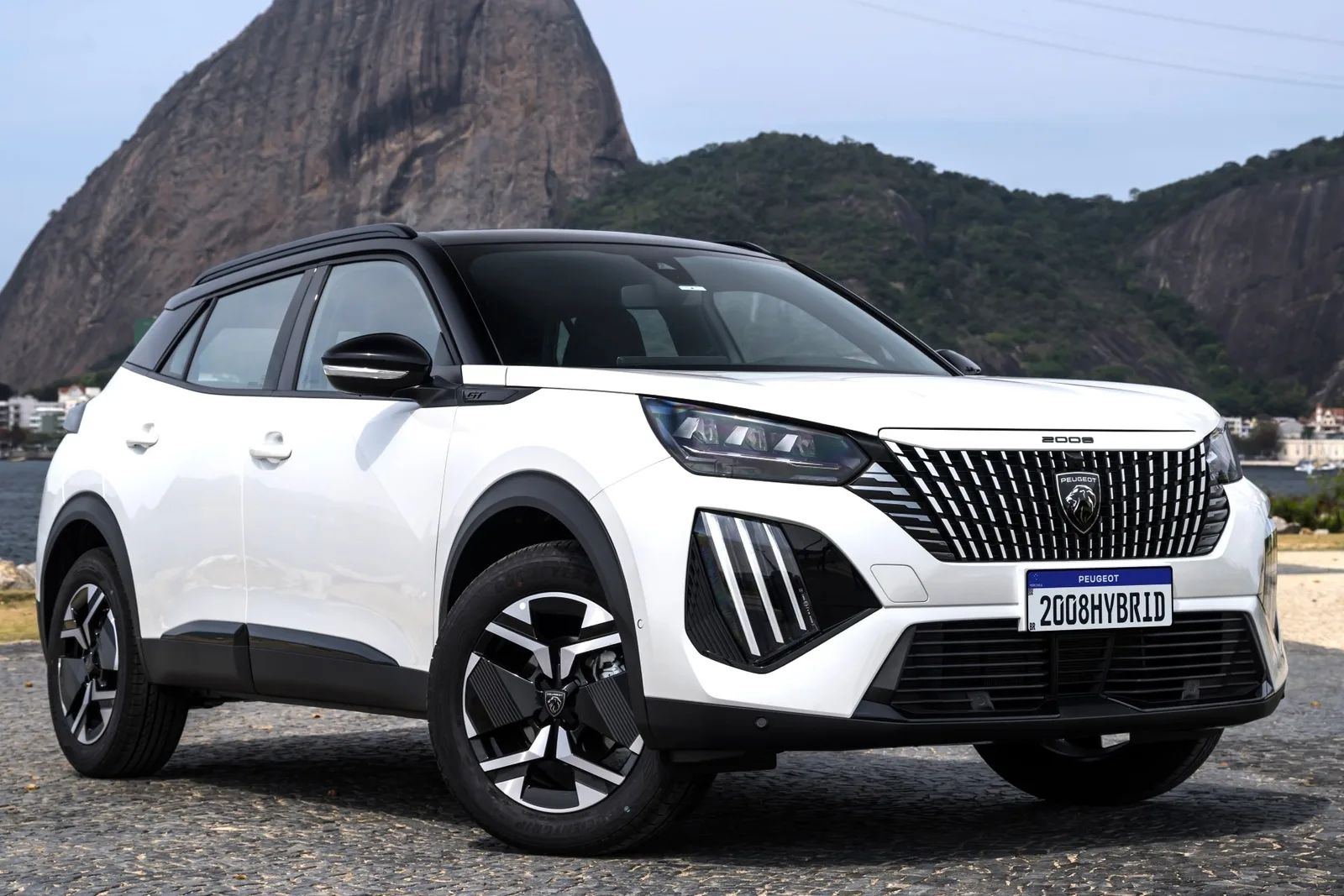 Peugeot perde espaço no Brasil com oferta menor e queda na produção argentina
