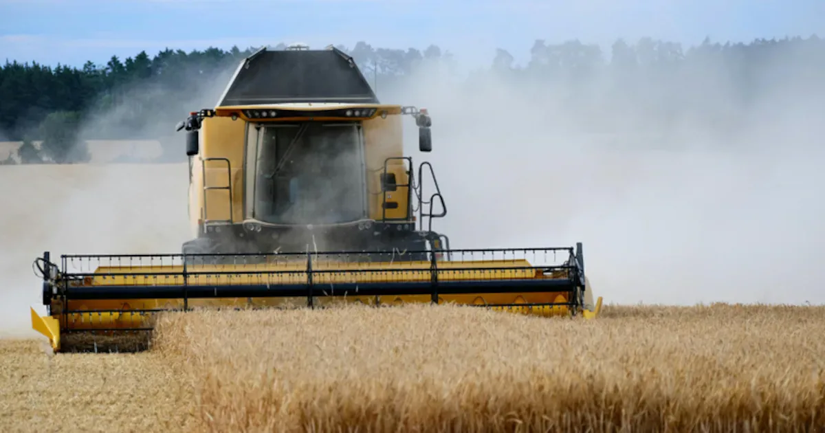 Pesquisa e tecnologia levam Brasil à liderança nas exportações agrícolas