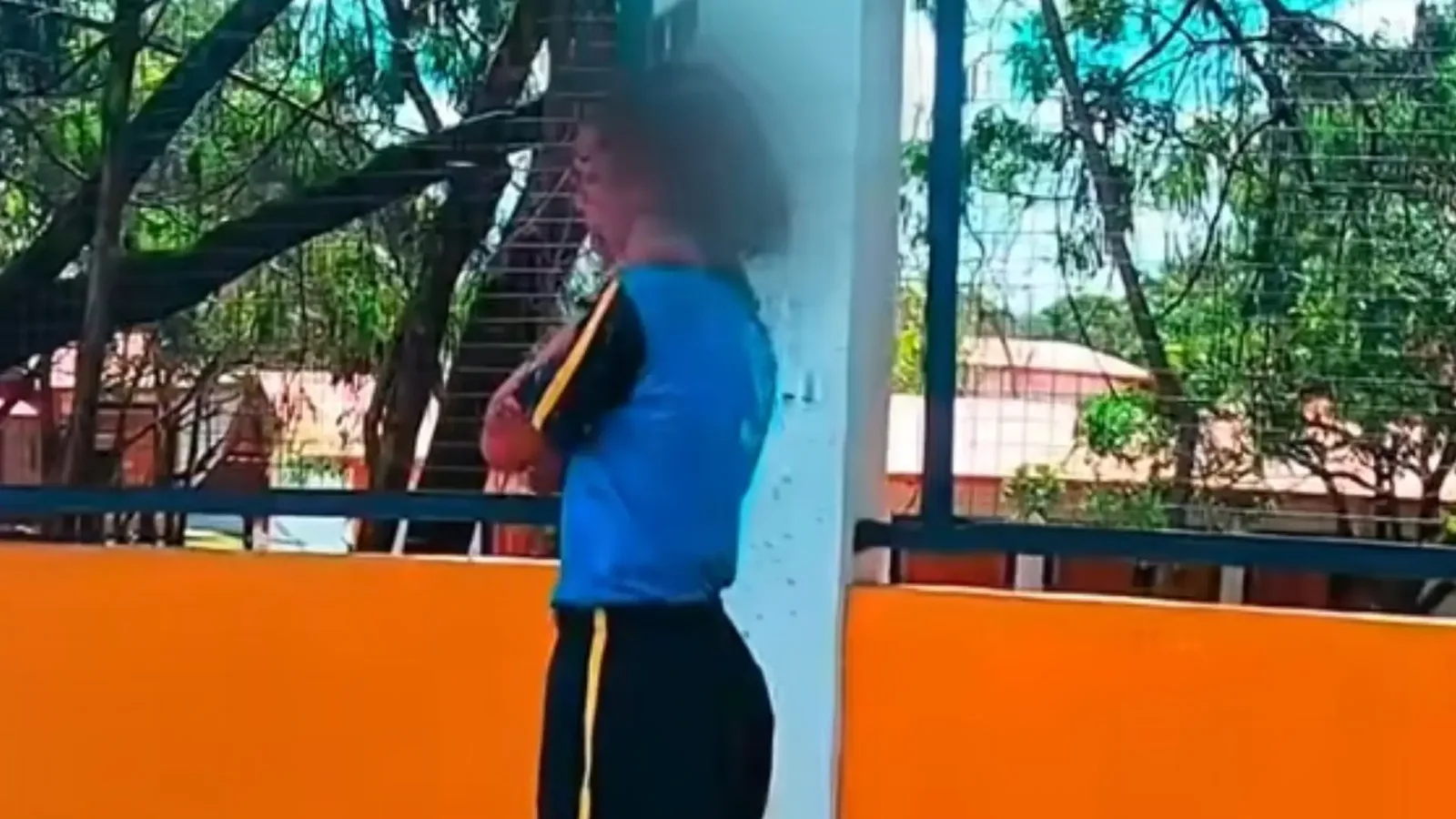 Adolescente atacada por abelhas em Ibirité deve sair do CTI
