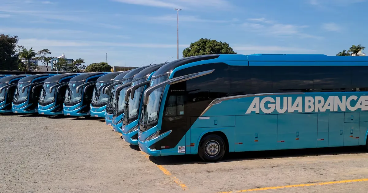 Ataque a sites da Águia Branca pode ter exposto dados de 7.883 clientes