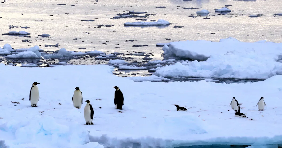 Oceanos aquecem em ritmo acelerado e acumulam impactos em ecossistemas e litorais