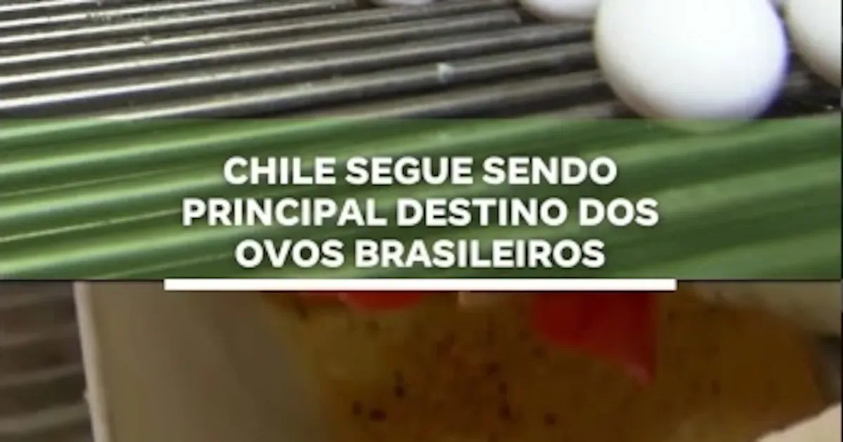 Ataques e acontecimentos internacionais e nacionais são destacados em quatro frentes