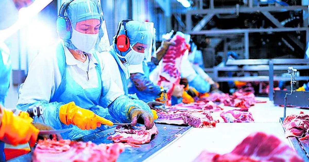 China autoriza importação de miúdos suínos do Brasil