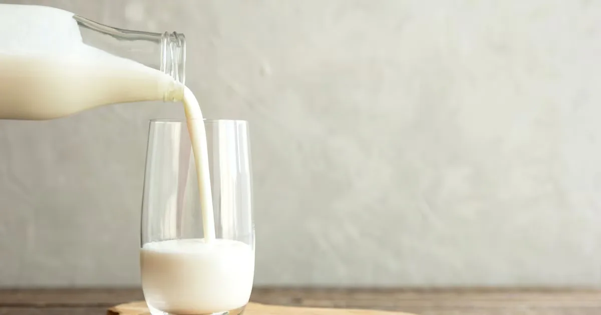 Leite A2 pode reduzir desconfortos, mas não substitui versões sem lactose