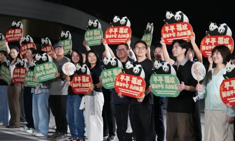 Pandas deixam a China para passar dez anos no Zoo Atlanta