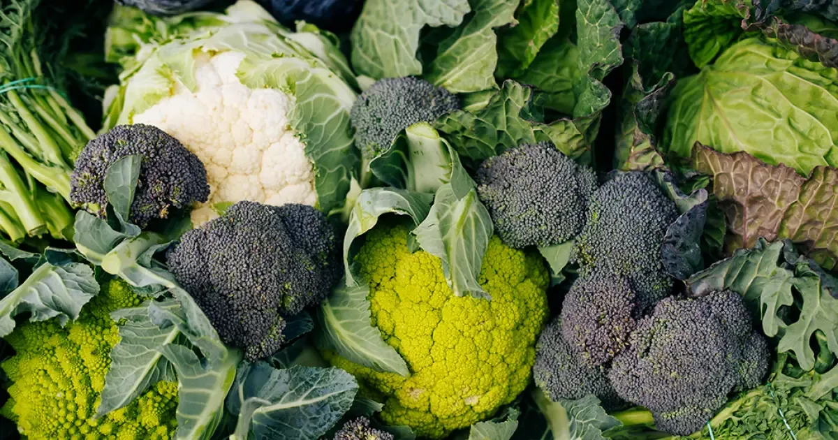 Vitamina K1 ganha destaque em estudo sobre pulmões, mas não indica suplementação