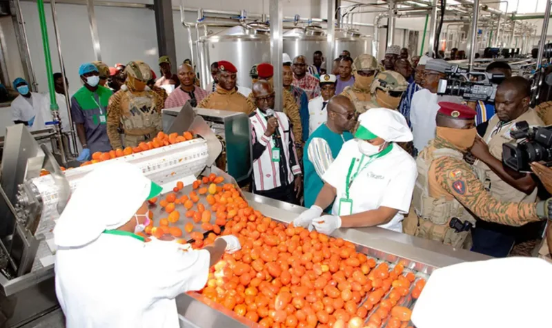 Empresas russas podem fornecer máquinas e fertilizantes a agricultores de Burkina Faso