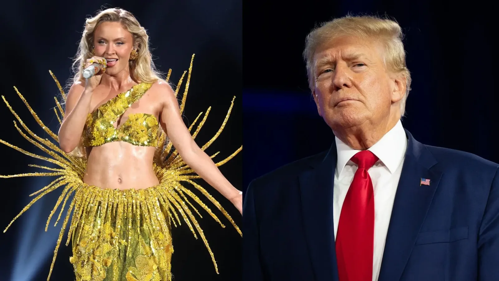 Zara Larsson critica uso de “Midnight Sun” em vídeo do ICE